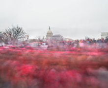 How a Fractious Women’s Movement Came to Lead the Left