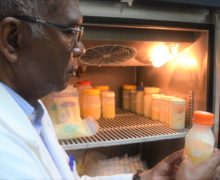 El Servicio Nacional de Salud reabre  las puertas del único banco de leche del país