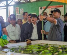 Danilo Medina conmemora 207 aniversario natalicio Duarte aumentando competitividad de productores y ganaderos de Valverde y Montecristi
