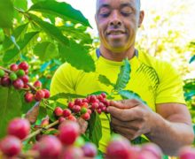 Danilo Medina destaca trabajo duro de hombres y mujeres del campo que engrandecen la Patria y proveen alimentos que consumimos y exportamos