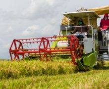 En ocho años de gobierno de Danilo Medina, se aumentaron la calidad y la cantidad de préstamos al campo dominicano, con la tasa de interés más baja de la historia.