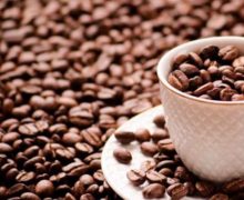 MEANDROS DEL LENGUAJE