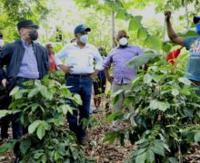 Danilo Medina constata avances Proyectos Desarrollo Agroforestal: casi 602 mil tareas sembradas y más de 13 mil productores beneficiados