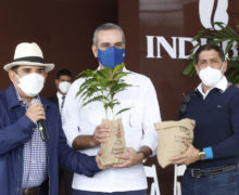 Gobierno financiará RD$1,000 millones a tasa cero a productores café