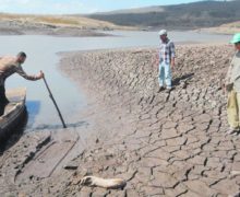 Combatir la Desertificación, es más cierto que nunca