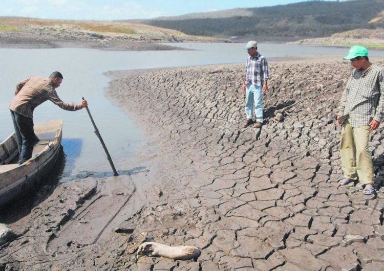 Combatir la Desertificación, es más cierto que nunca