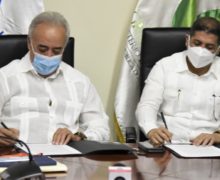 El cultivo de tomate industrial recibe el apoyo del gobierno  con financiamiento a tasa cero para los productores