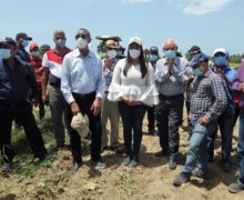 El Ministerio de Agricultura inicia la aplicación de la veda a 17 mil tareas de cultivos hospederos de la Mosca Blanca y Trípidos, en la región sur