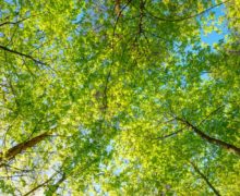 Necesitamos un aire más saludable para un planeta más saludable.