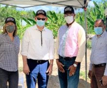 La búsqueda de los restos de Enriquillo.