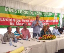 Eliminarán Cultivos Hospederos de la Mosca Blanca