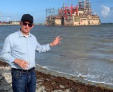 Instituto Lemma pide investigación al caso de la muerte de peces y otras especies marinas en Azua.