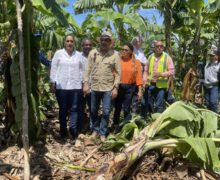 Ministro de  Agricultura y Gobernadora de Azua recorren zonas afectadas por tormenta Franklin