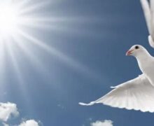 Rectora de Utesur expresa sentidas condolencias