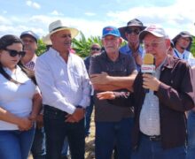 Agricultura está eliminando cultivos hospederos de la Mosca Blanca y el «Trips» en Azua, Peravia y Barahona