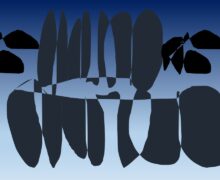 La dulce atracción por lo perfecto