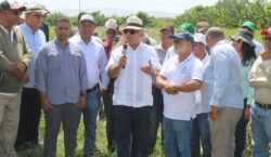 Ministerio de Agricultura inicia eliminación de 18 mil tareas de hospederos en la región sur para frenar la mosca blanca y el Thrips