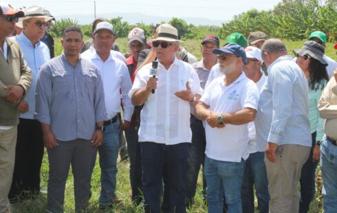 Ministerio de Agricultura inicia eliminación de 18 mil tareas de hospederos en la región sur para frenar la mosca blanca y el Thrips